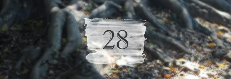 28